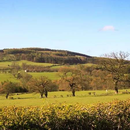 Rowan Σπίτι διακοπών